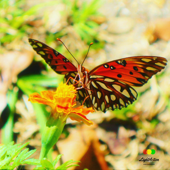 8 Steps Of Atonement