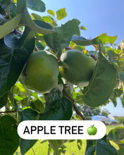 Load image into Gallery viewer, LightKrewe's Ultimate Guide to Organic Gardening