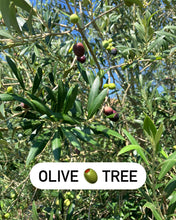 Load image into Gallery viewer, LightKrewe's Ultimate Guide to Organic Gardening