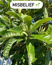 Load image into Gallery viewer, LightKrewe's Ultimate Guide to Organic Gardening