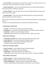 Load image into Gallery viewer, Mind-Body Reset Guide